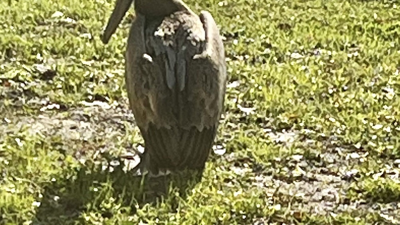 Photo of Outdoor in Bourg