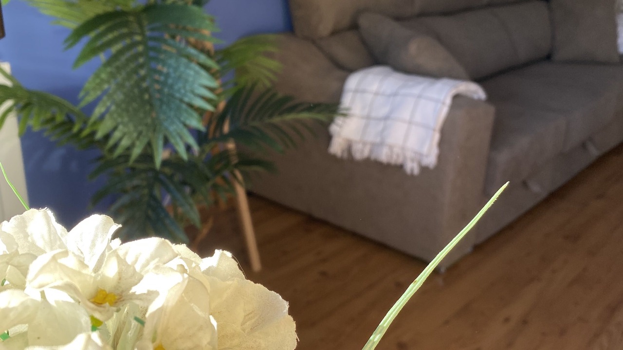 Photo of Livingroom in Guardia dels Prats