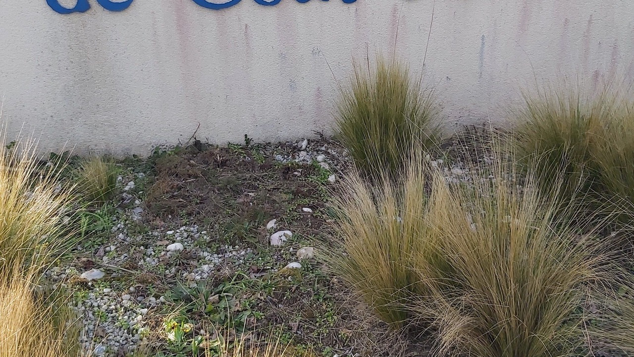 Photo of Outdoor in Pont-l'Abbe