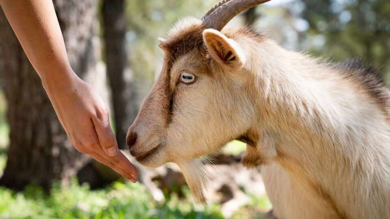 Photo of Others in San Marcos