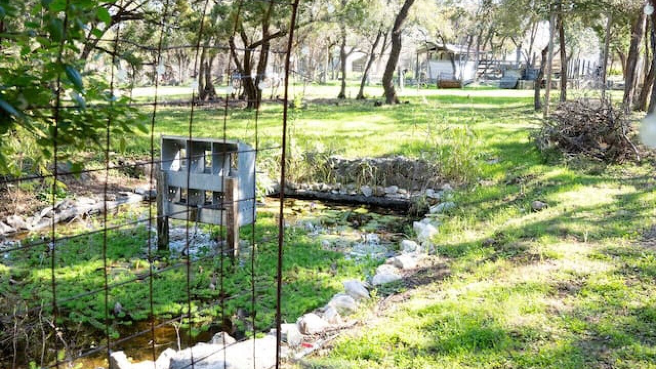 Photo of Outdoor in San Marcos