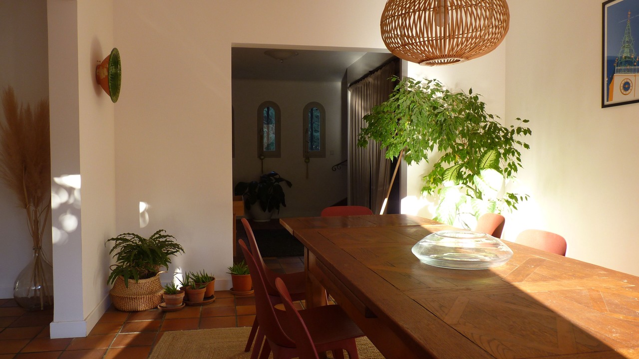 Photo of Others in Le Soler