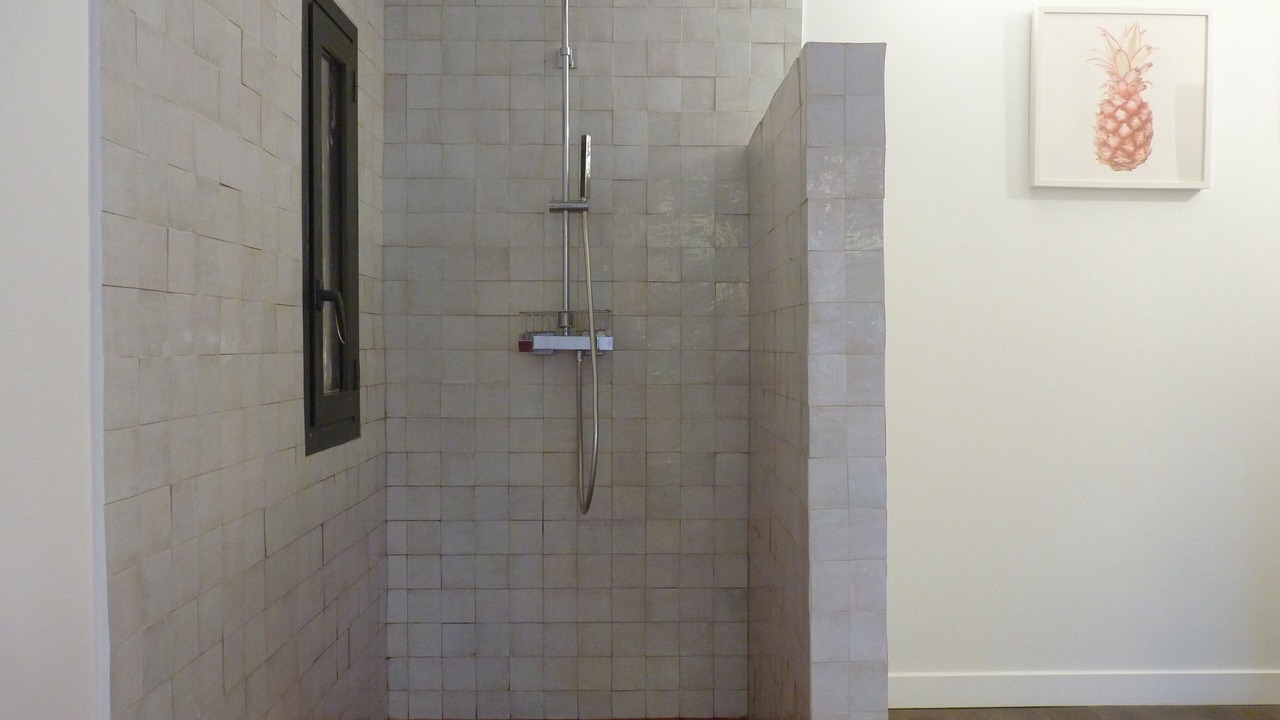 Photo of Bathroom in Le Soler