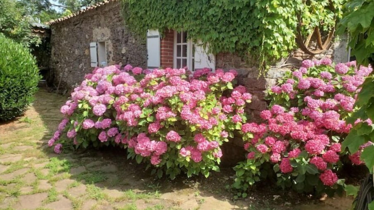 Photo of Outdoor in Teillet