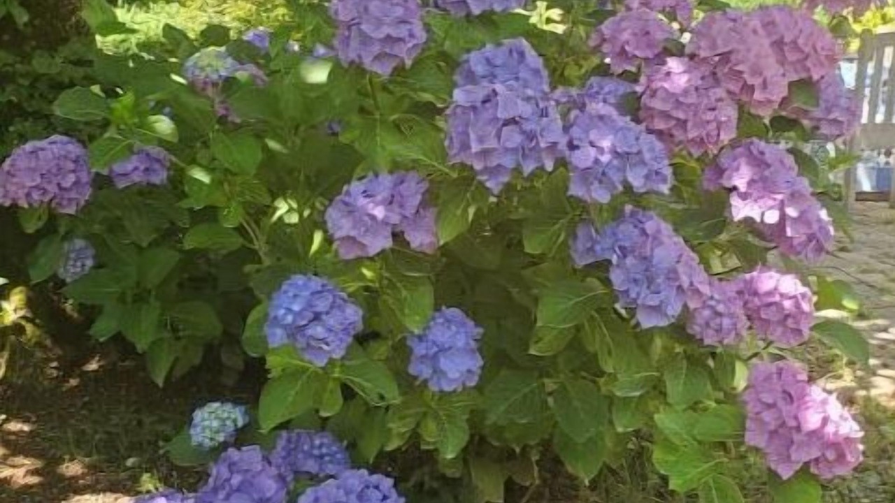 Photo of Outdoor in Teillet