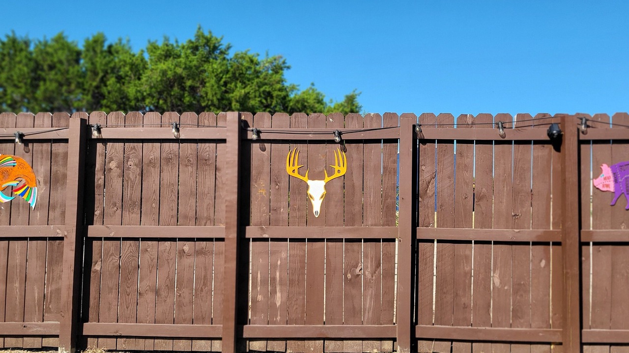 Photo of Outdoor in Oatmeal