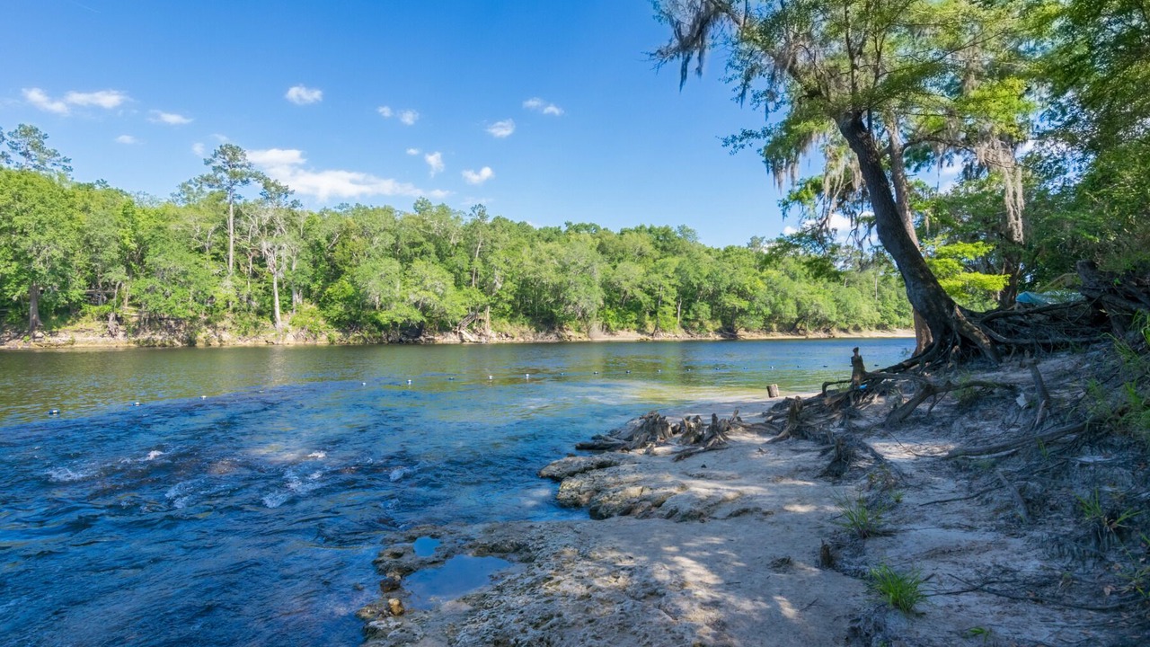 Photo of Others in Live Oak