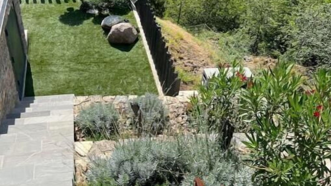 Photo of Outdoor in Pied-de-Borne