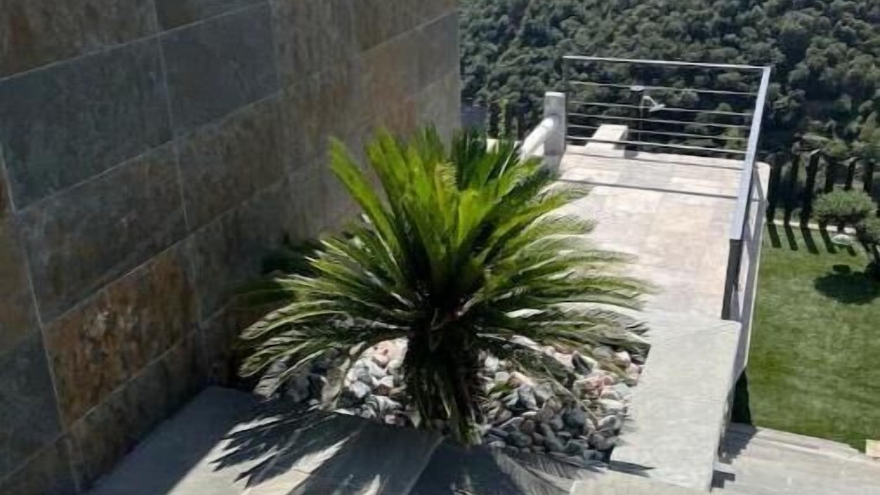 Photo of Outdoor in Pied-de-Borne