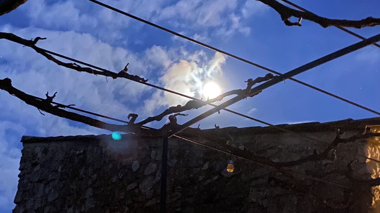 Photo of Outdoor in Saint-Andre-d'Olerargues