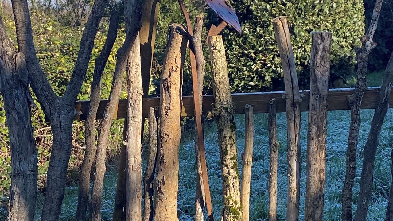 Photo of Outdoor in Saint-Andre-d'Olerargues