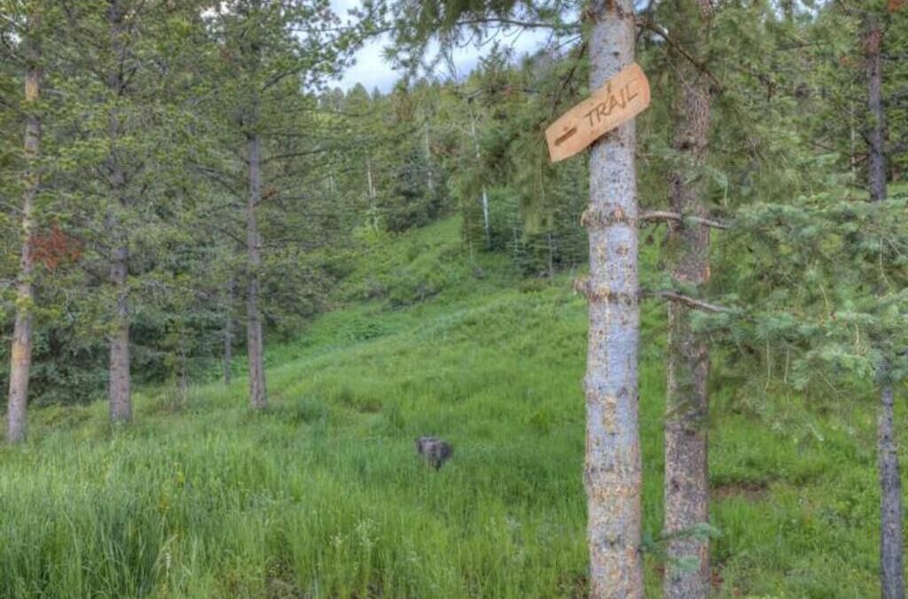 Photo of Others in Gallatin Gateway