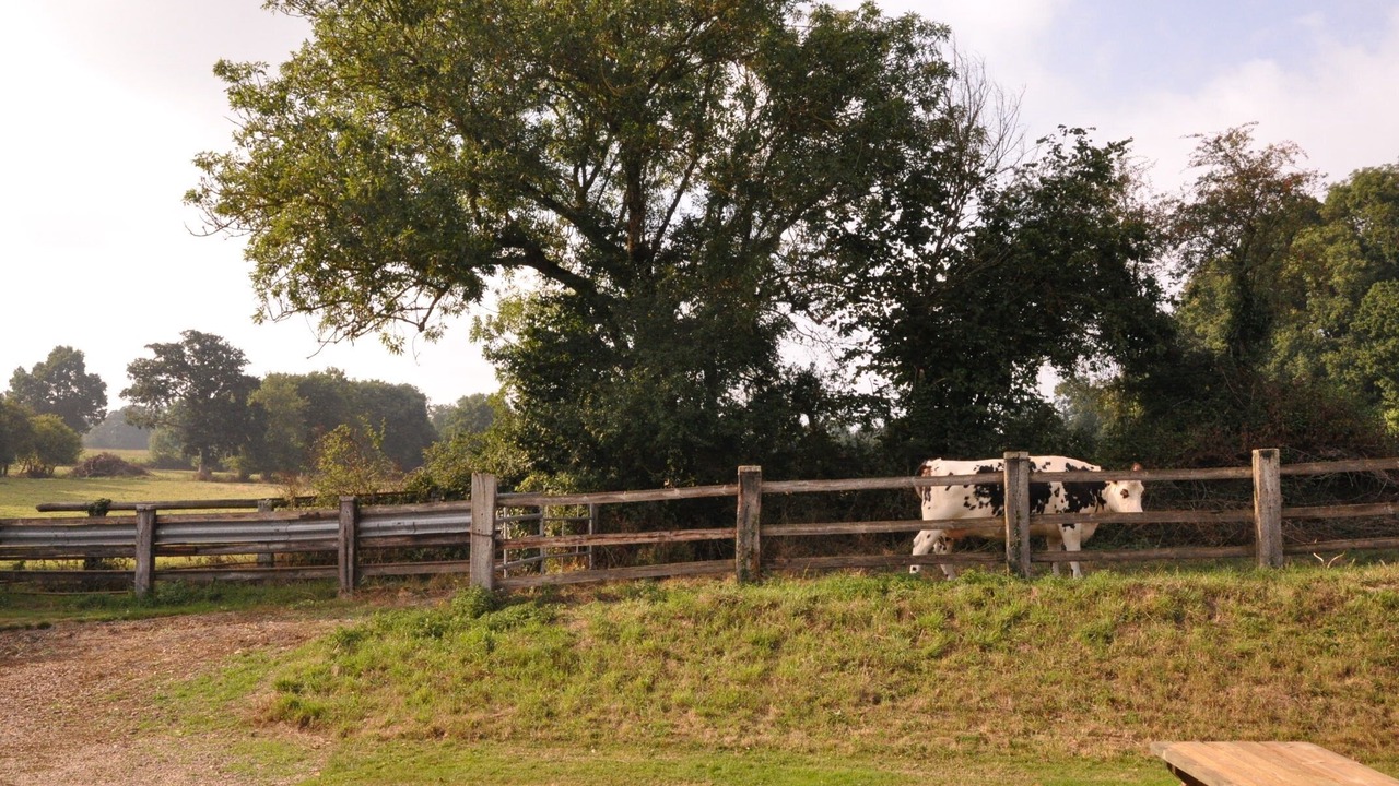 Photo of Outdoor in Tournay-sur-Odon