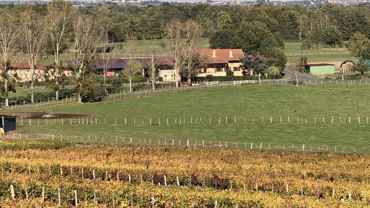 Photo of Others in Saint-Etienne-des-Oullieres