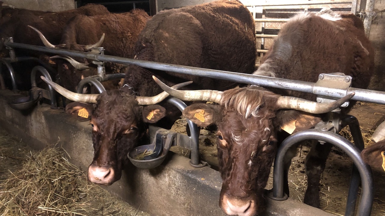 Photo of Others in Saint-Etienne-des-Oullieres