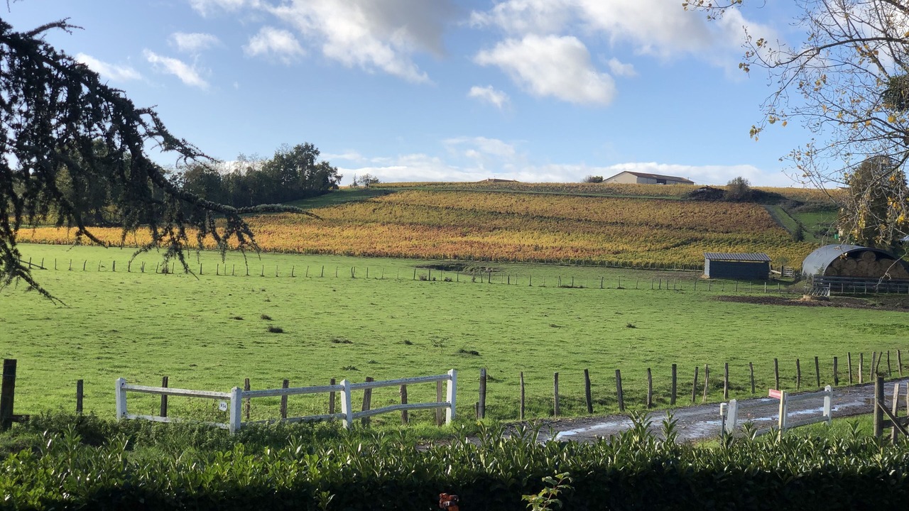 Photo of Others in Saint-Etienne-des-Oullieres