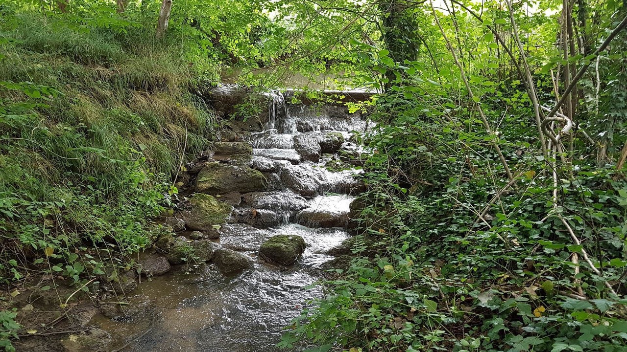 Photo of Others in Villamblard