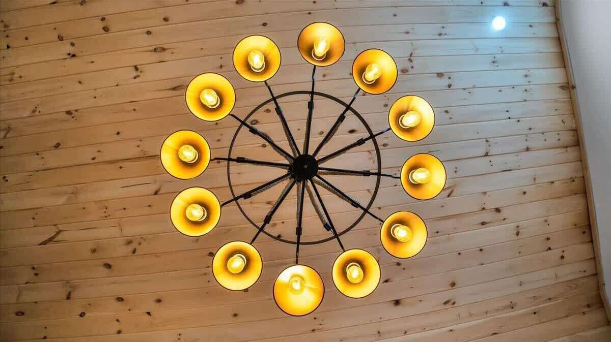 Photo of Others in Canadensis