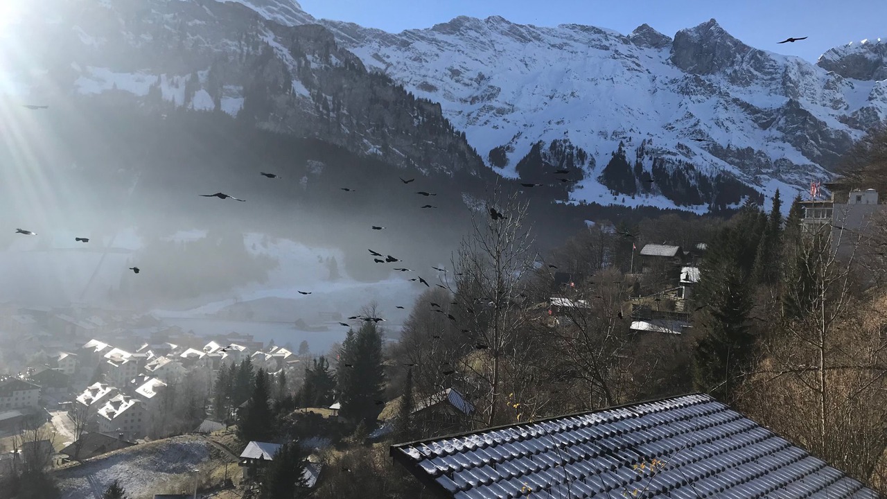 Photo of Outdoor in Engelberg