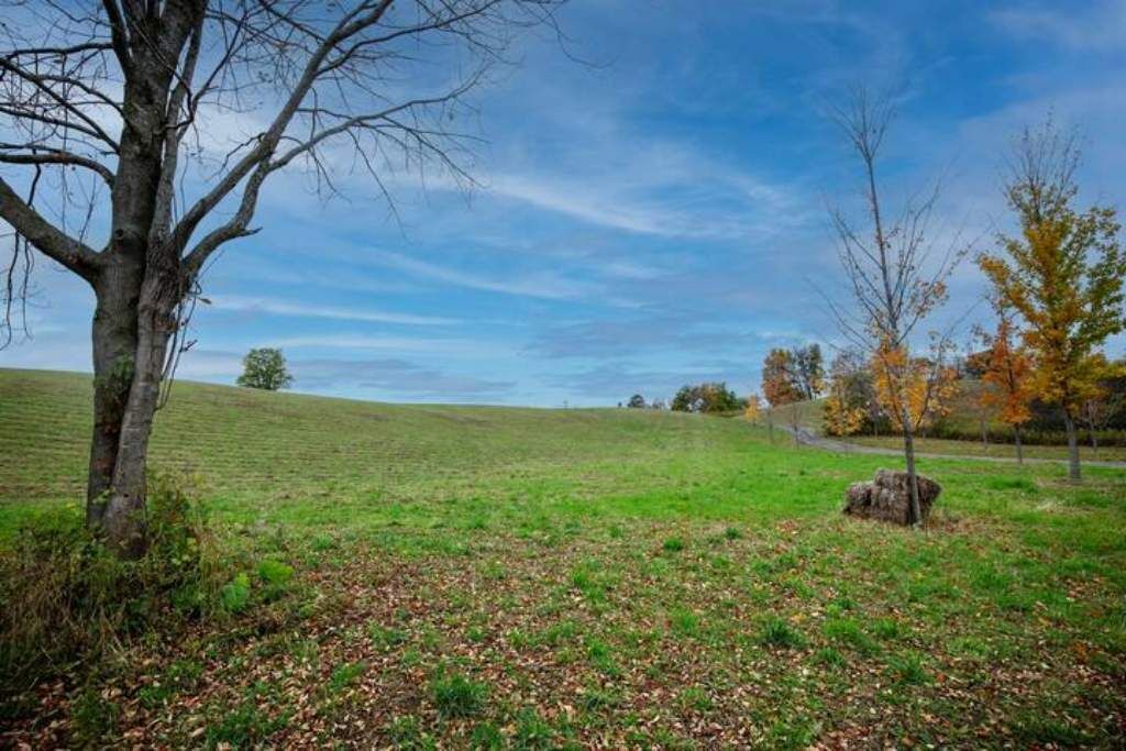 Photo of Outdoor in Ashburn
