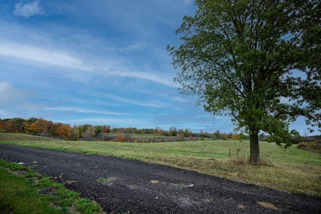 Photo of Outdoor in Ashburn