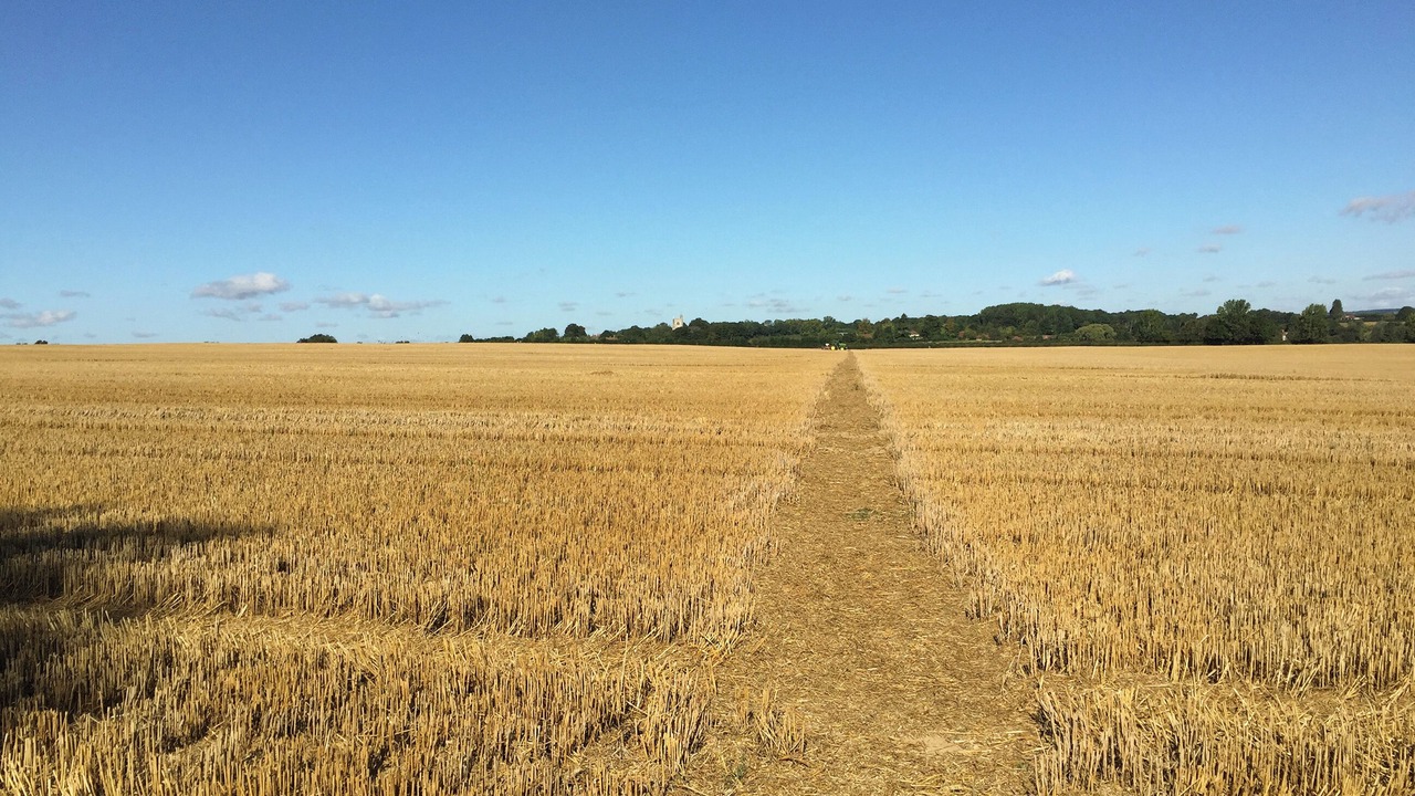 Photo of Others in Egerton