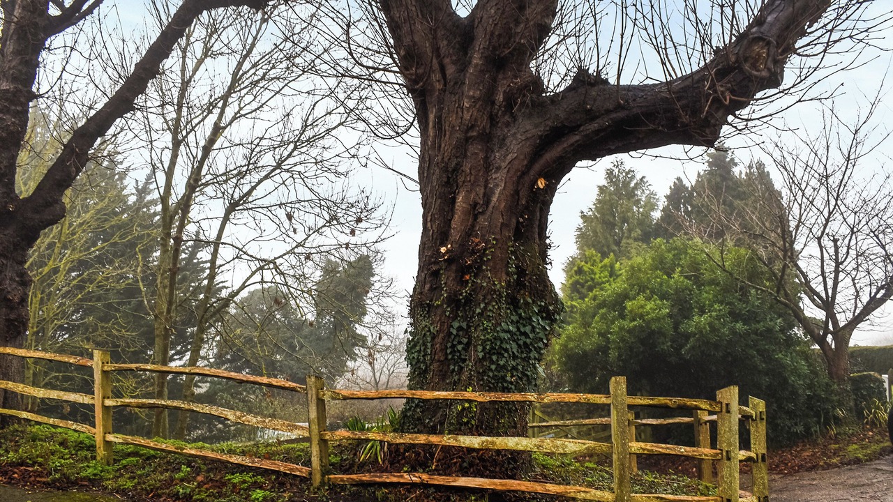 Photo of Others in Egerton