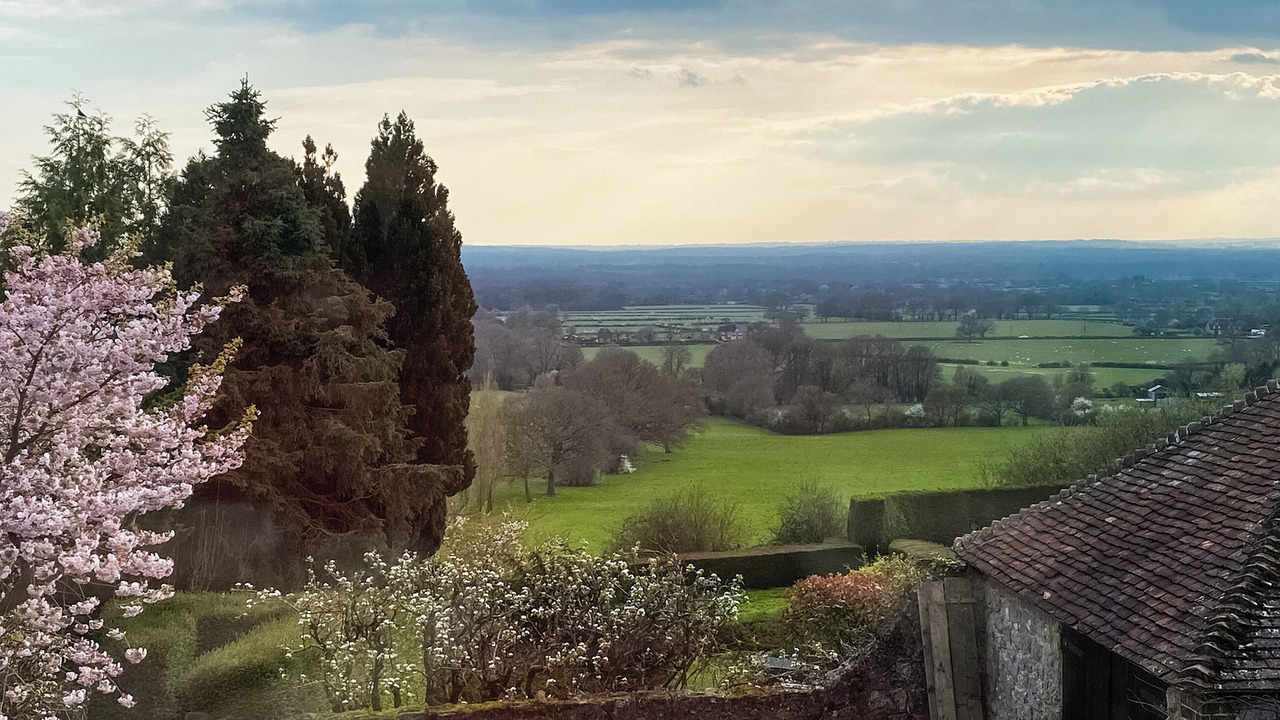 Photo of Others in Egerton