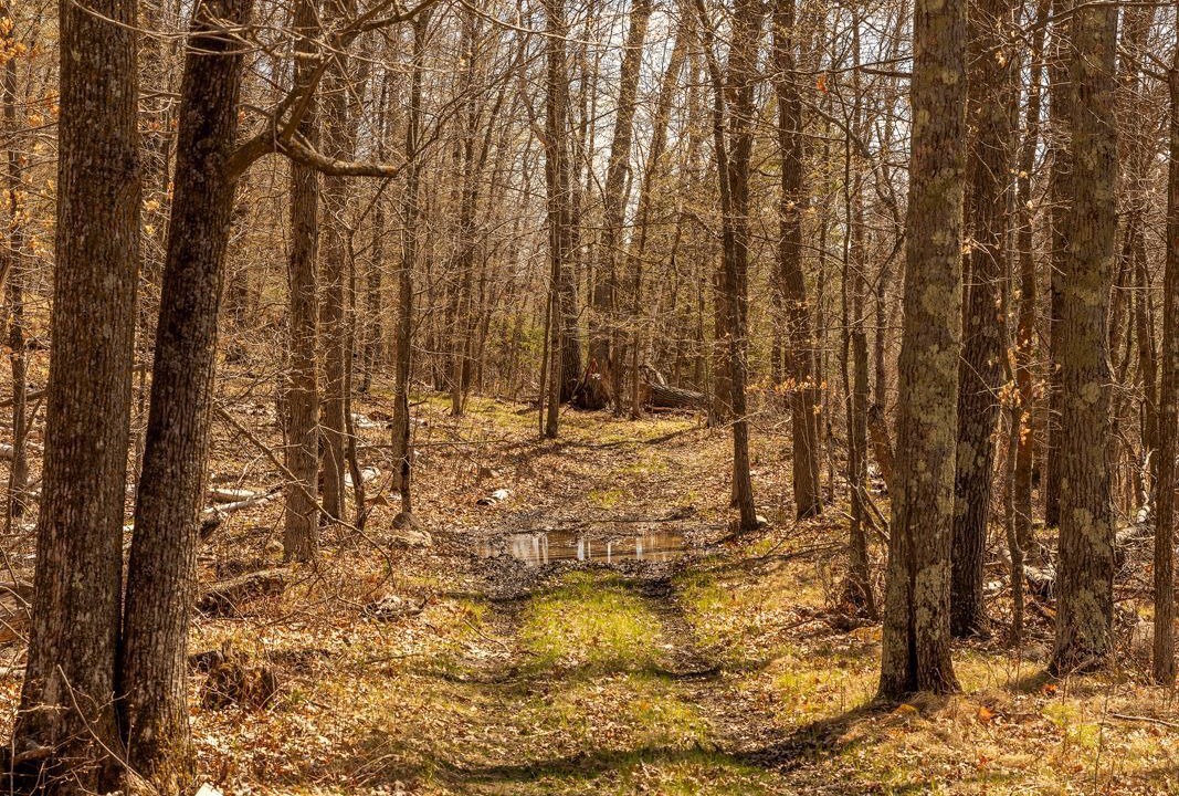 Photo of Outdoor in Hackensack