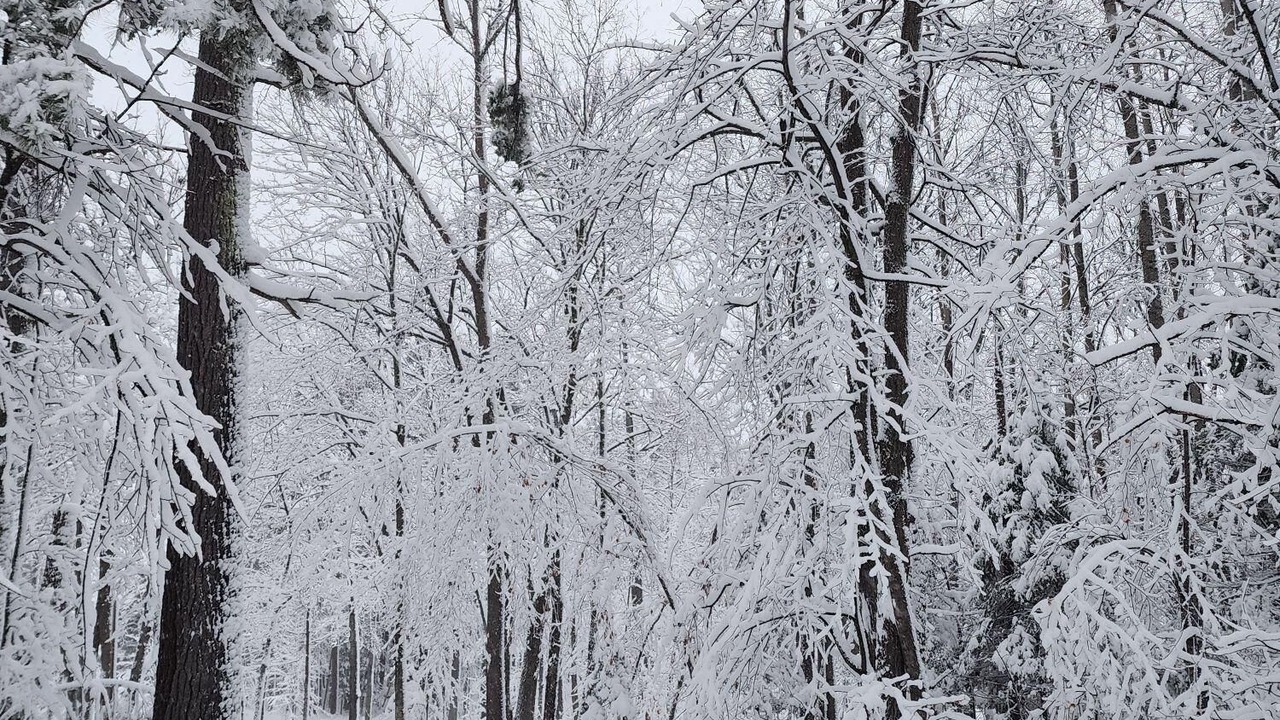 Photo of Others in Hackensack