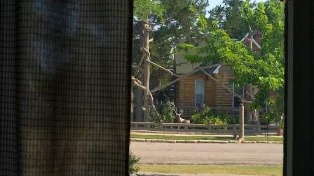 Photo of Others in Lucas