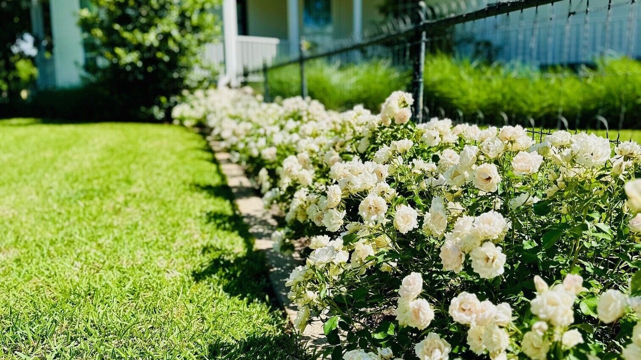 Photo of Outdoor in McGregor