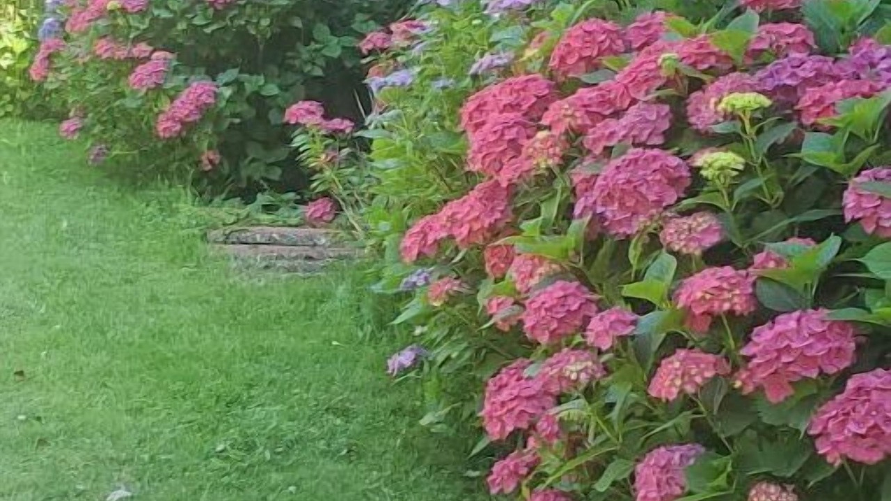 Photo of Outdoor in Teillet