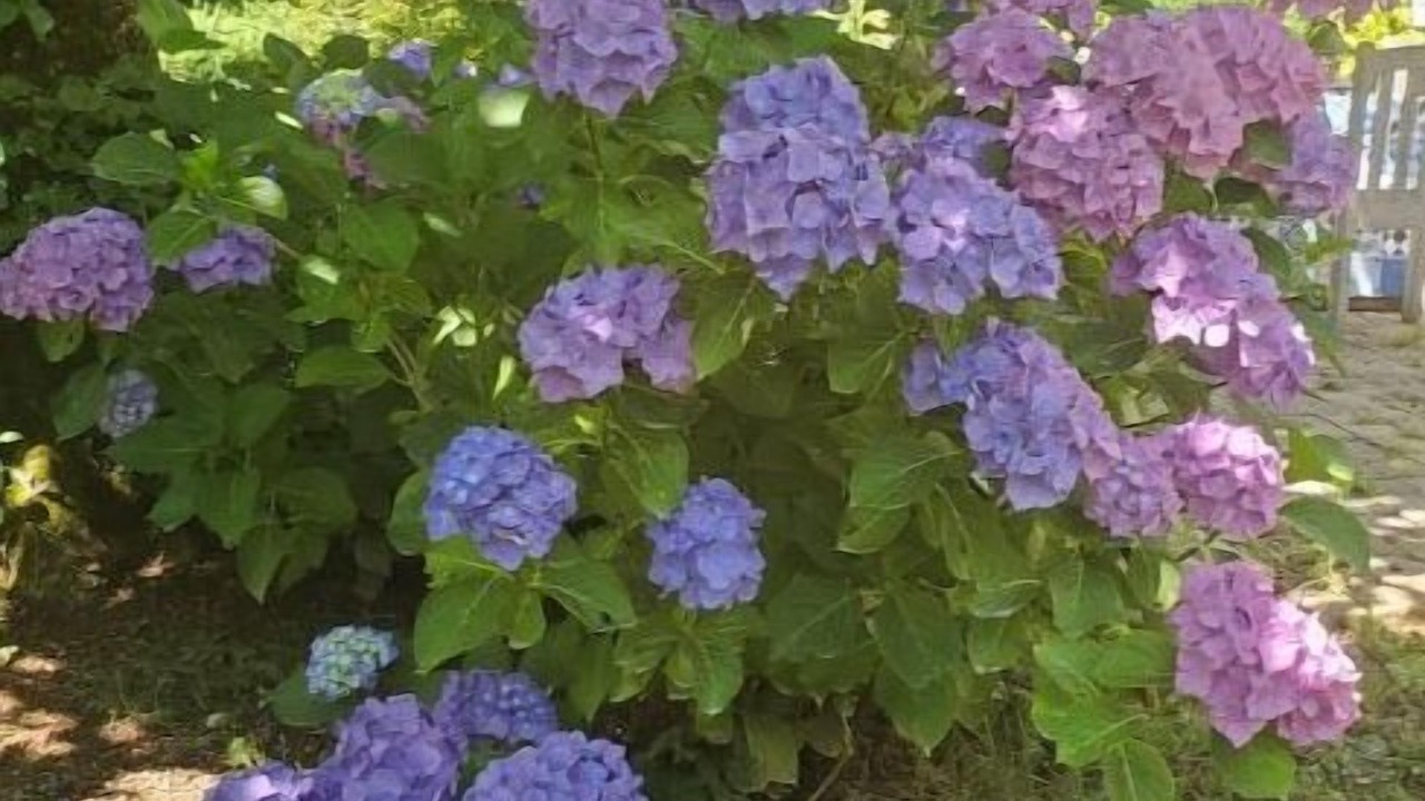 Photo of Outdoor in Teillet
