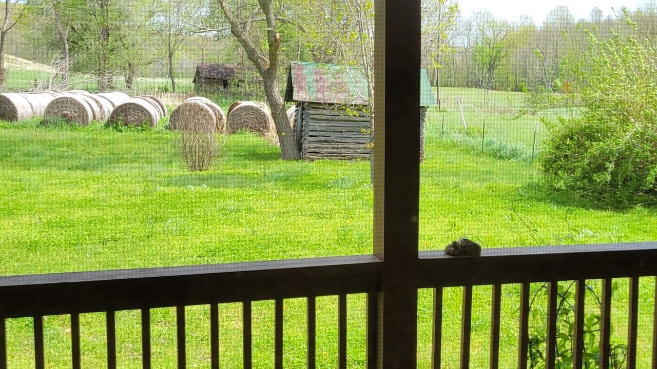 Photo of Patio Balcony in Dallas County