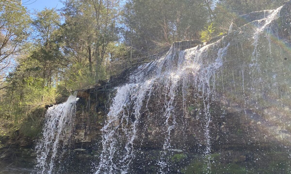 Photo of Outdoor in Cecil