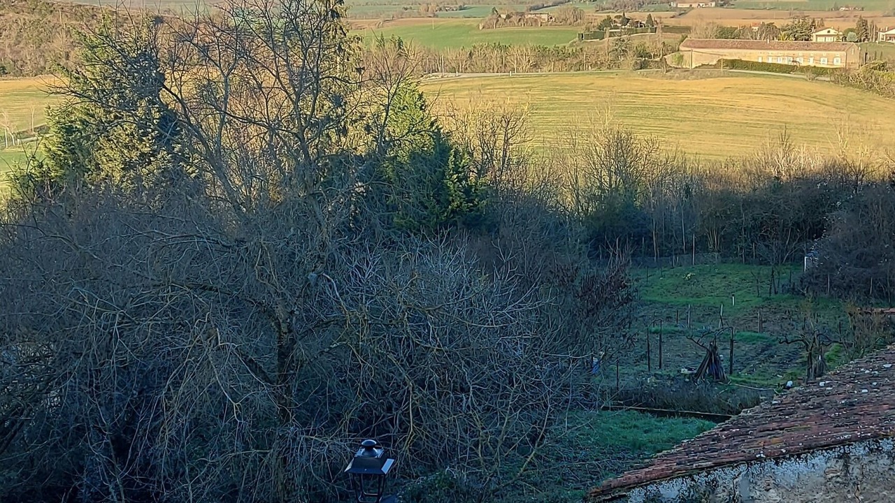 Photo of Others in Saint-Felix-Lauragais