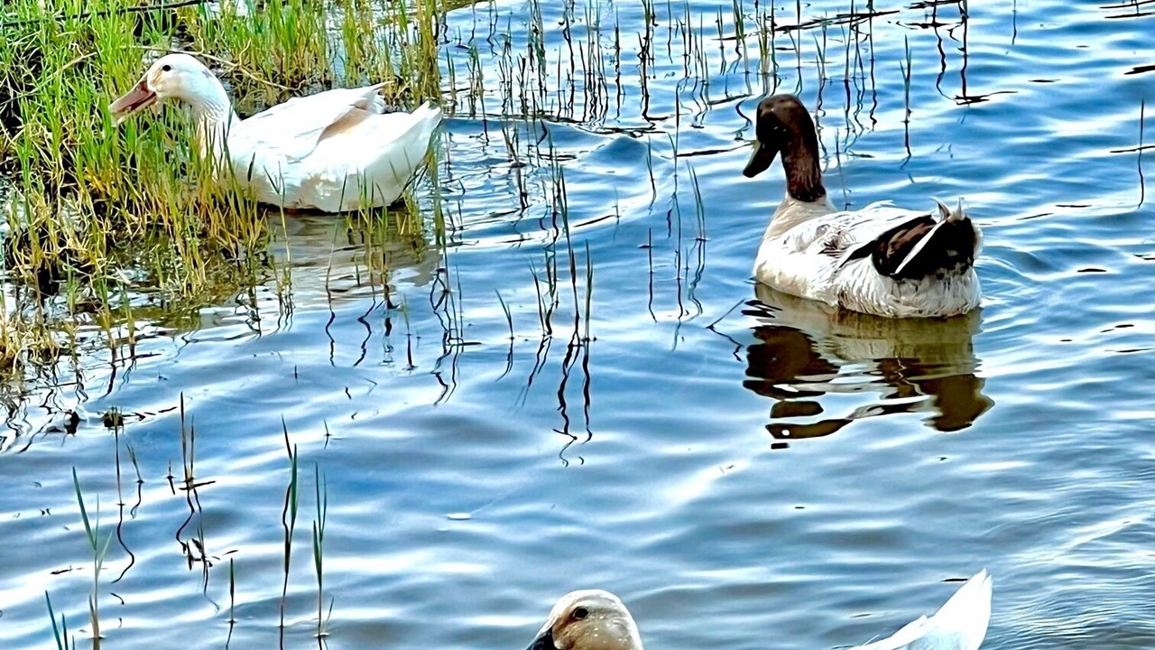 Photo of Outdoor in Etoile
