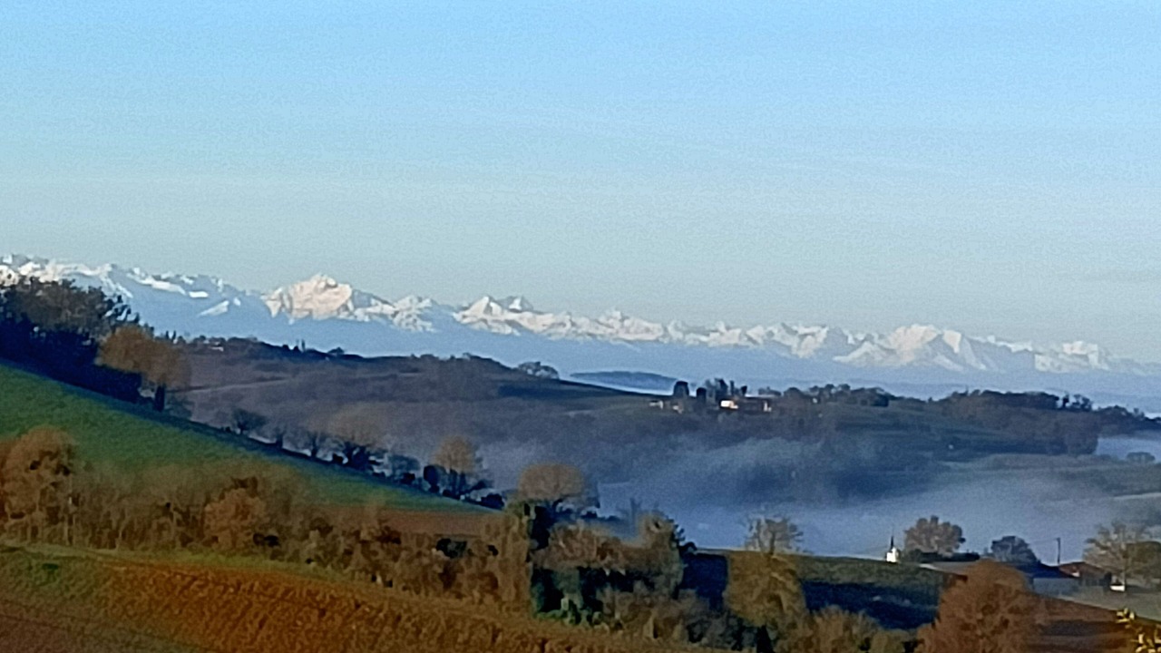 Photo of Others in Montadet