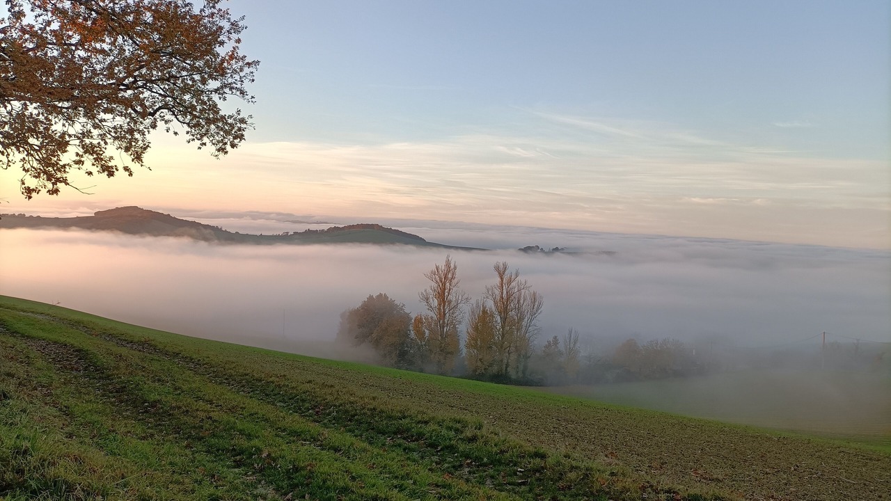 Photo of Outdoor in Montadet
