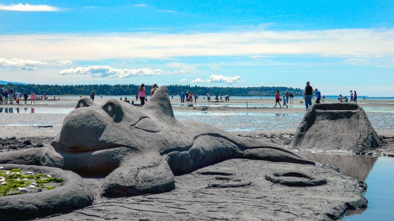 Photo of Others in Birch Bay