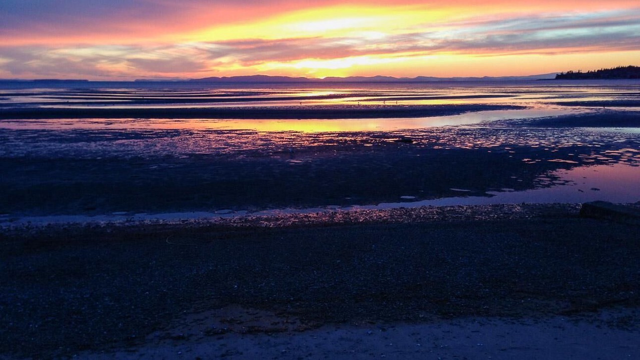 Photo of Others in Birch Bay