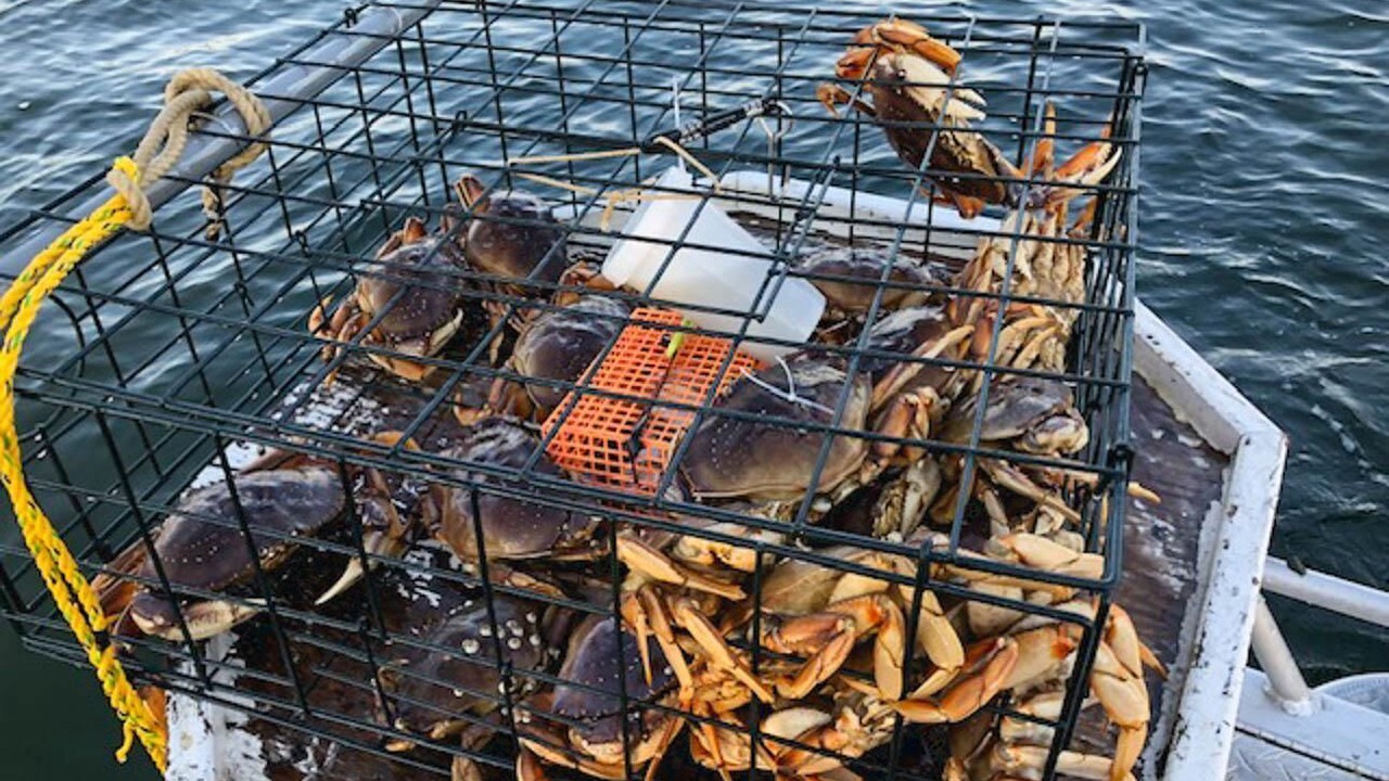 Photo of Others in Birch Bay