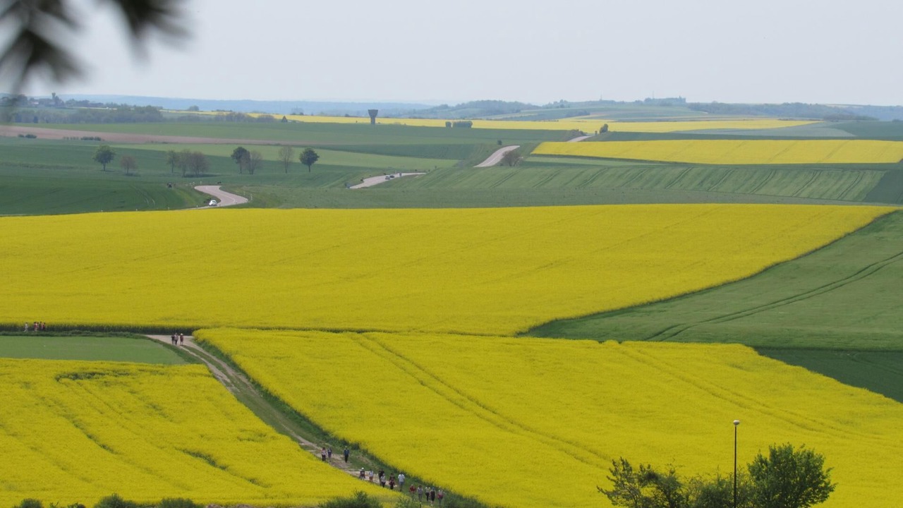 Photo of Others in Racines