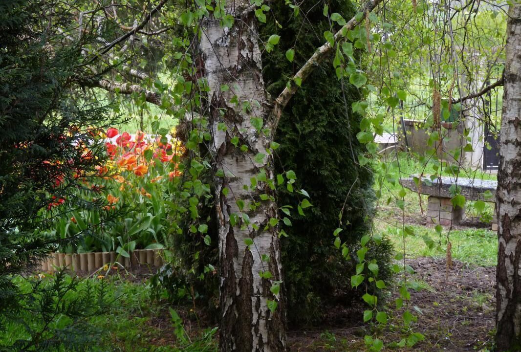 Photo of Outdoor in Racines