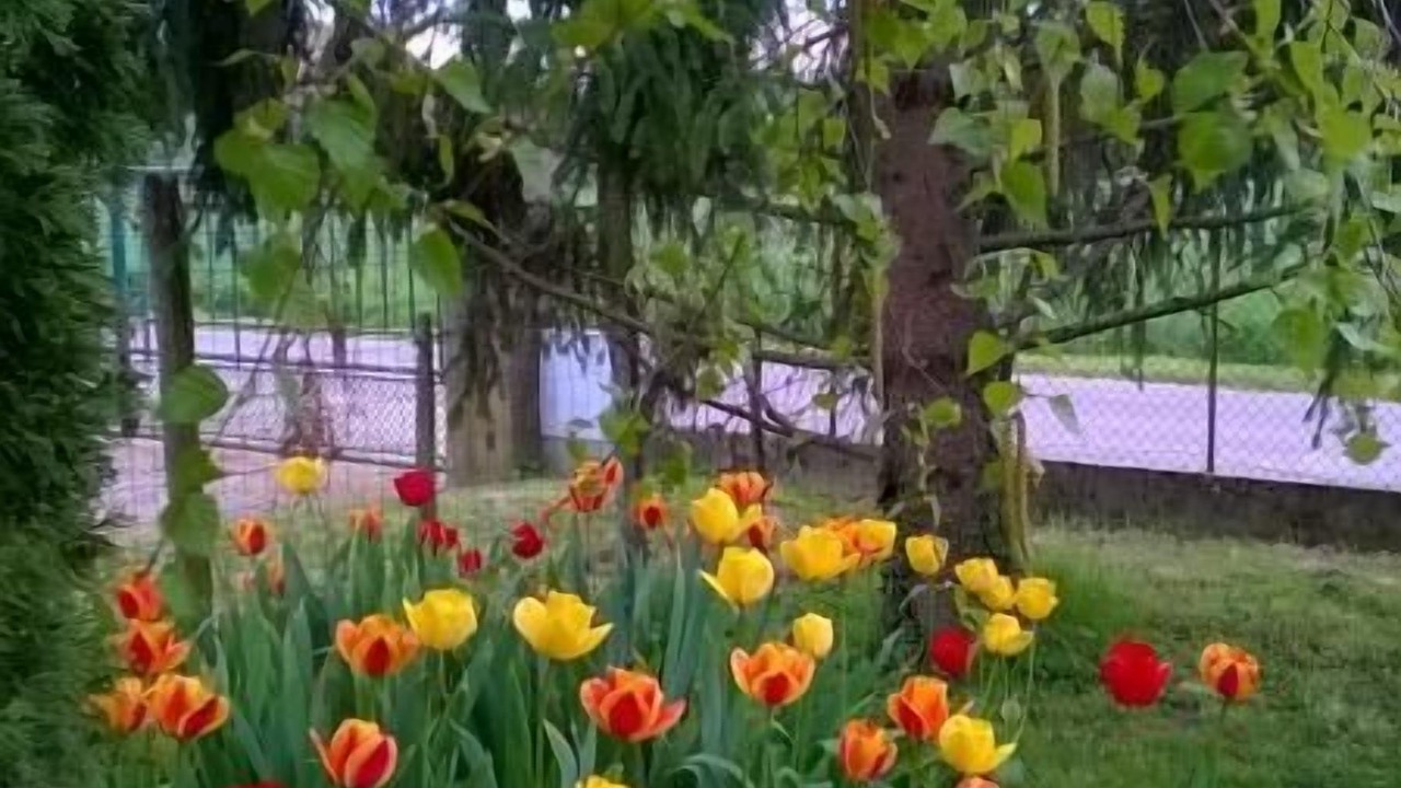 Photo of Outdoor in Racines