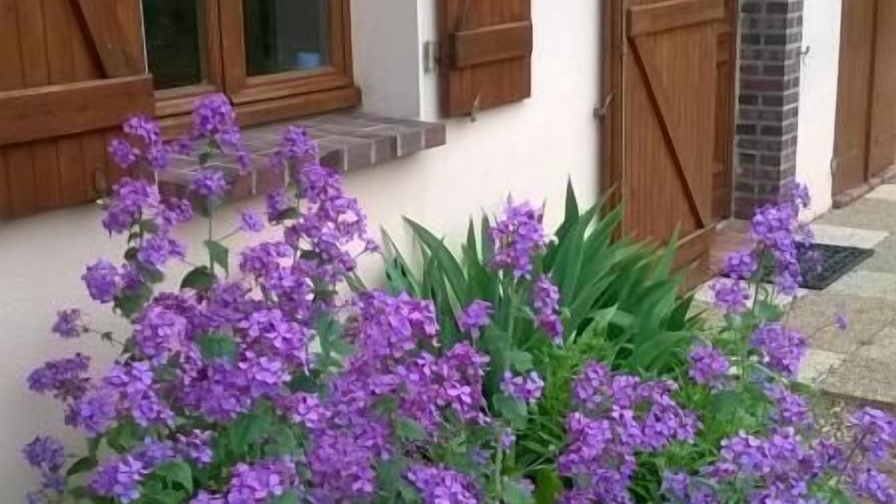 Photo of Outdoor in Racines