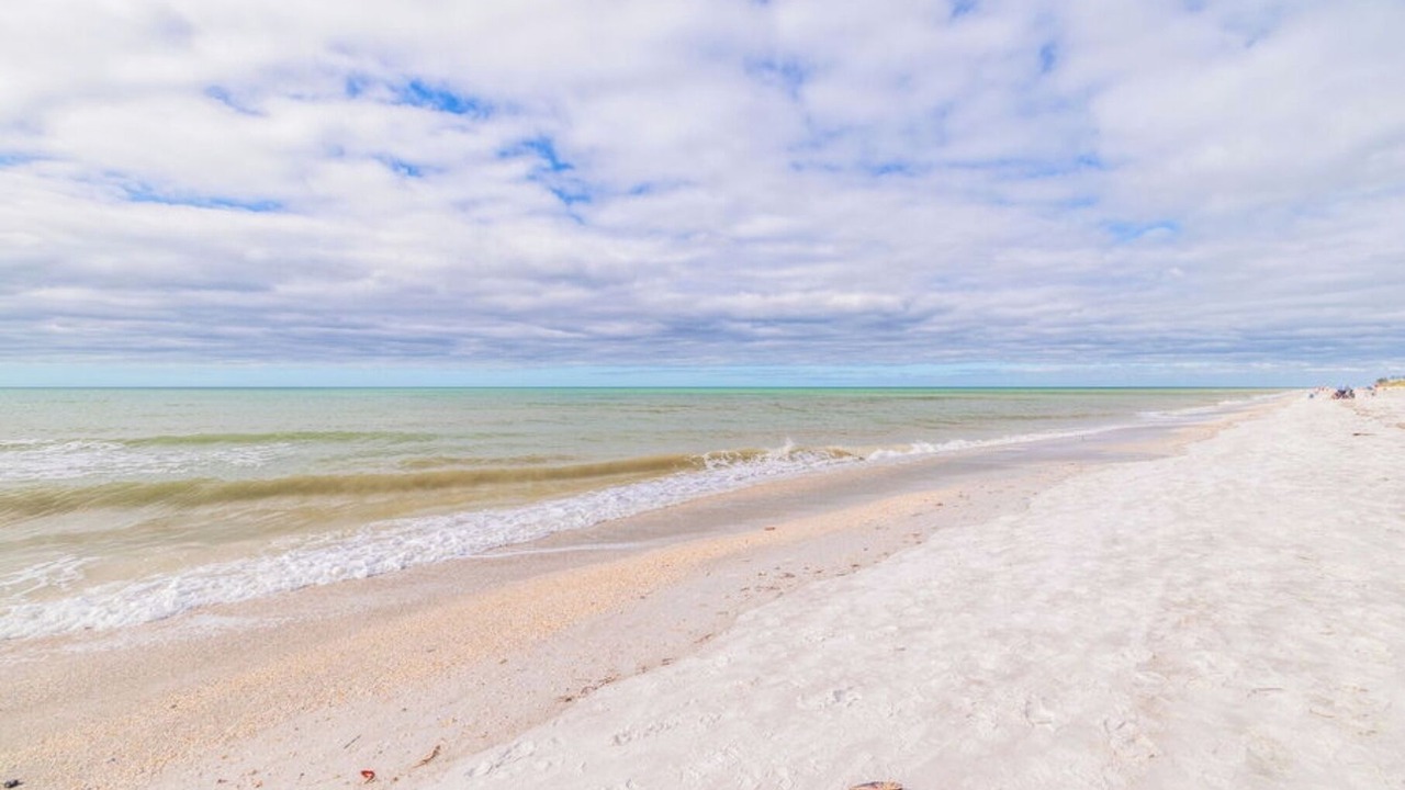 Photo of Others in Indian Rocks Beach
