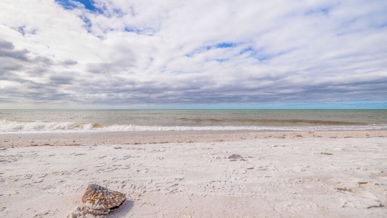 Photo of Others in Indian Rocks Beach