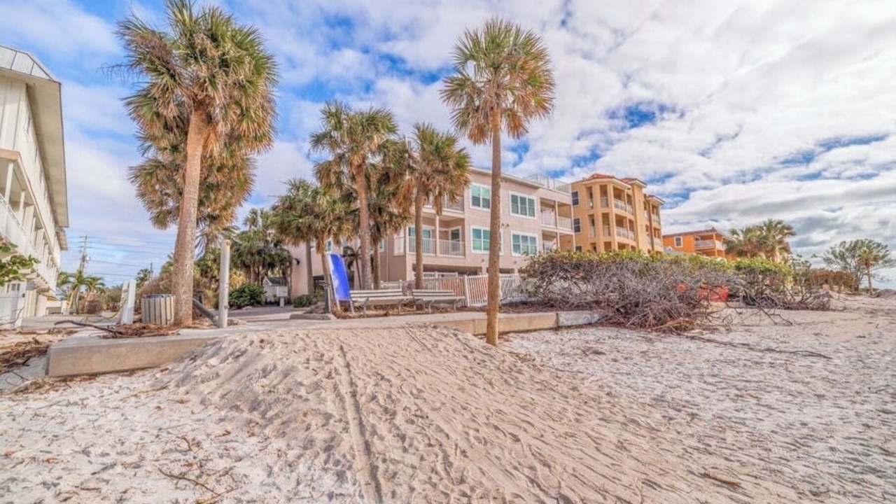 Photo of Others in Indian Rocks Beach